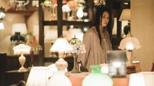 Light Shop ( 2024 )