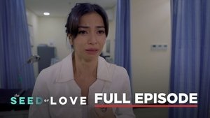 The Seed of Love: Season 1 Full Episode 63