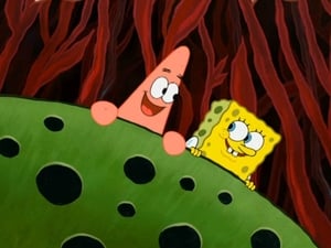 SpongeBob Schwammkopf: 8×24