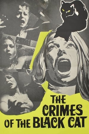 The Crimes of the Black Cat poster