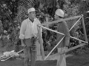 Gilligan's Island Three Million Dollars More or Less