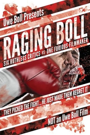 Poster Raging Boll 2010