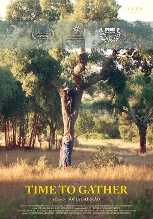 Nonton film Time to Gather (2024) terbaru sub indo Nonton film Time to Gather (2024) terbaru sub indo