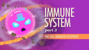 Crash Course Anatomy & Physiology Immune System, Part 3