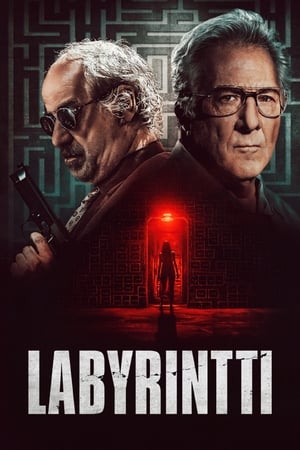 Into the Labyrinth 29