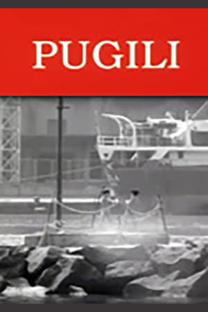 Poster Pugili (1995)