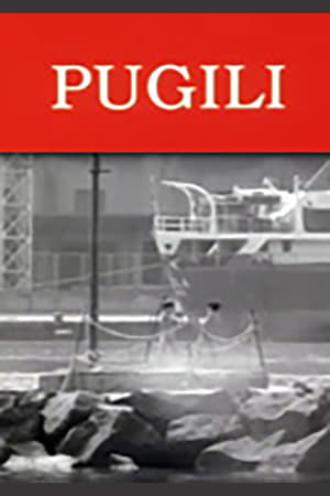 Poster Pugili 1995