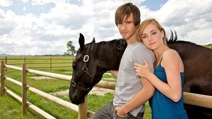 Heartland TV Series | Where to watch?