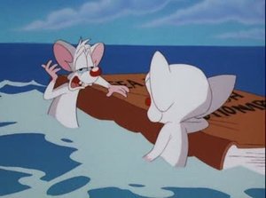 Pinky & der Brain: 3×31