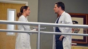 Grey’s Anatomy 10 x Episodio 14