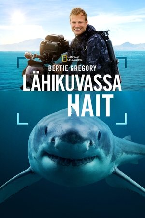 Bertie Gregory - lähikuvassa hait