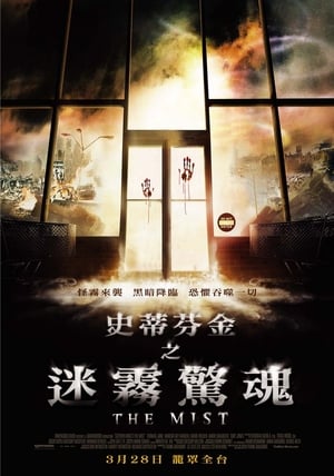 Poster 迷雾 2007