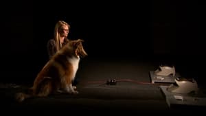 A Dog's Life film complet