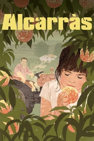 Alcarràs cover