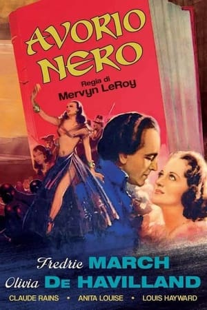 Poster Avorio nero 1936