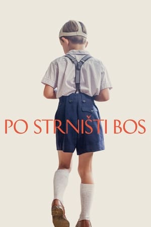 Poster Po strništi bos 2017