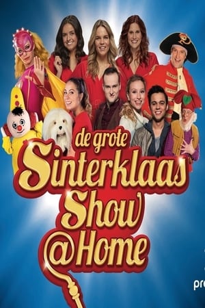 Image Studio 100: De Grote Sinterklaasshow @Home