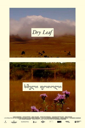 Dry Leaf 31