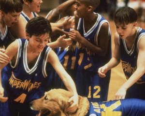Air Bud Seventh Inning Fetch 2002 Hindi 480p WEBRip