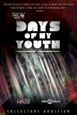 Poster Days of My Youth (2014)