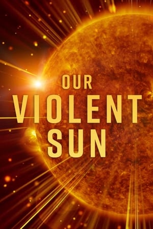 Image Our Violent Sun