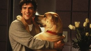 مشاهدة فيلم The Truth About Cats & Dogs 1996