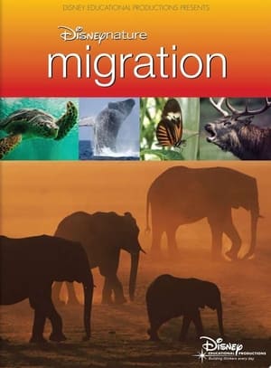 Poster Disneynature: Migration 2009