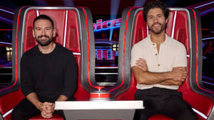 The Voice The Blind Auditions (2)