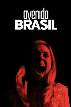 Brazil Avenue 28