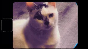 Test 1 still 4