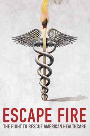 Escape Fire: The Fight to Rescue American Healthcare
