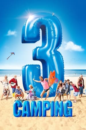 Poster Camping 3 (2016)