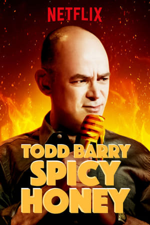 Poster Todd Barry: Spicy Honey 2017