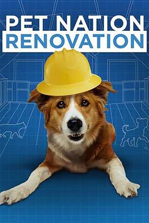 Pet Nation Renovation
