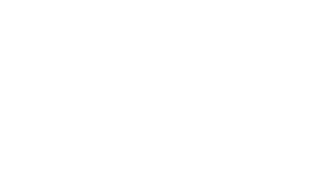 Ảnh 152