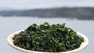 Wakame