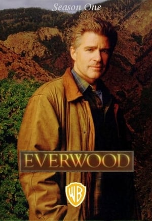 Everwood: Sezon 1