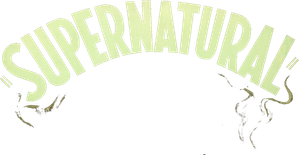 Supernatural — Logos 1