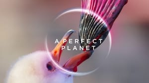 poster A Perfect Planet