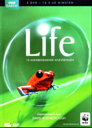 Poster Life Seizoen 1 Zoogdieren 2009