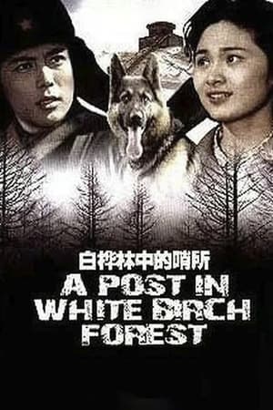 Poster A Post in White Birch Forest (1982)