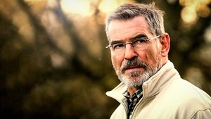 The Foreigner (2017)