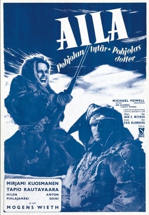 Arctic Fury poster