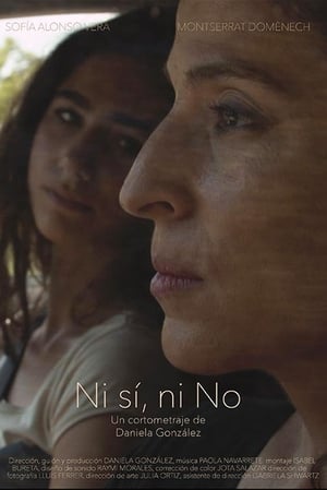 Poster Ni sí, ni no 2017