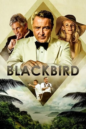 Poster Blackbird (2022)