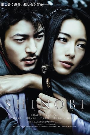 Poster Shinobi: A Batalha 2005