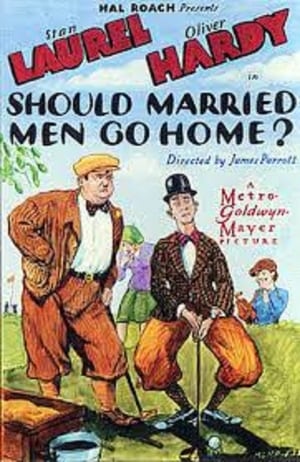 Should Tall Men Marry? poster