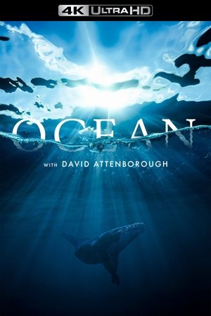 poster Ocean with David Attenborough
