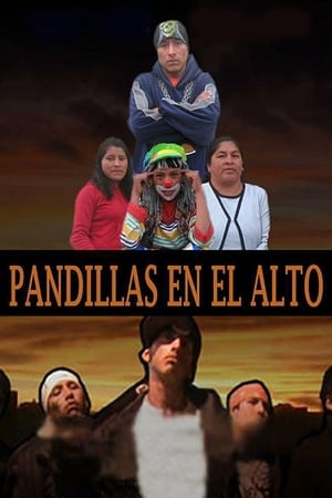 Poster Pandillas en El Alto 2009