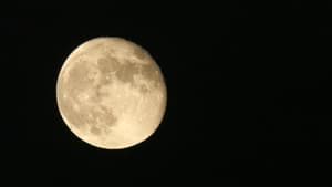 Image Moon